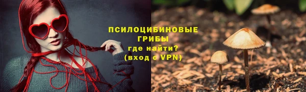 дурь Гусев