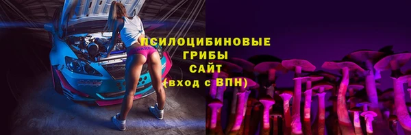 МДПВ Дмитровск