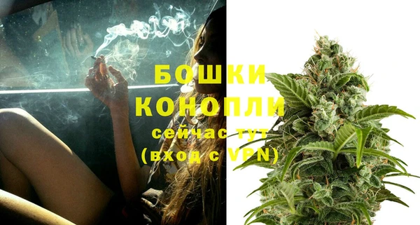 МДПВ Дмитровск