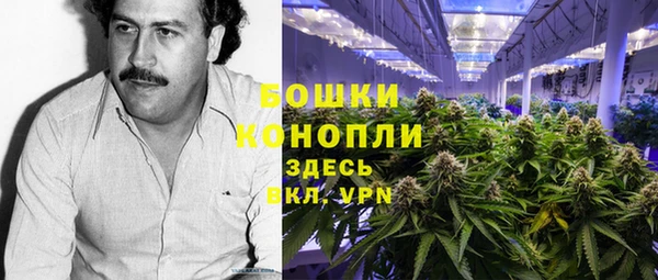дурь Гусев
