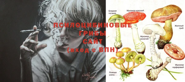 стафф Гусиноозёрск