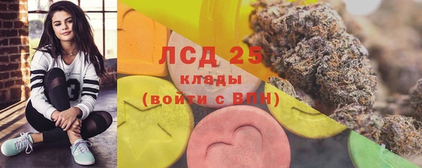 дурь Гусев