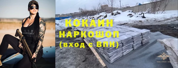 дурь Гусев