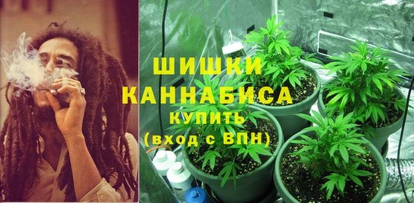молекула духа Гусь-Хрустальный