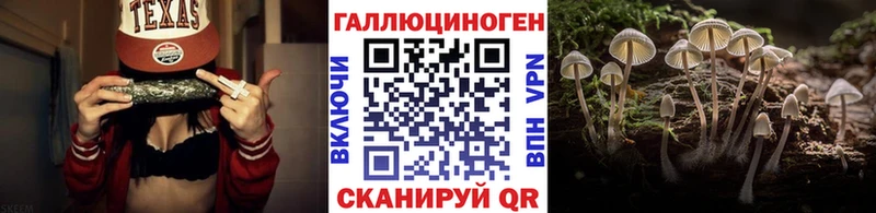 Псилоцибиновые грибы MAGIC MUSHROOMS Купить где Игарка